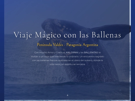 whales/ballenas-patagonia-26 screenshot