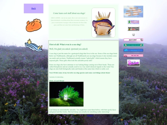 seaslugs screenshot