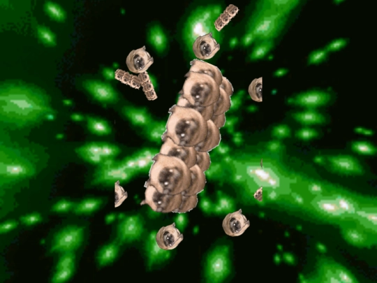 Spacepugs screenshot