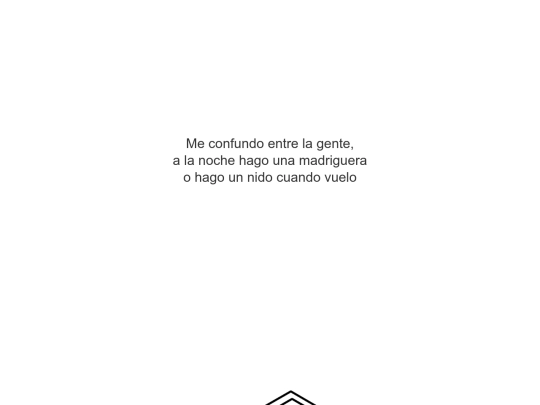 web-camuflaje/pagina3 screenshot