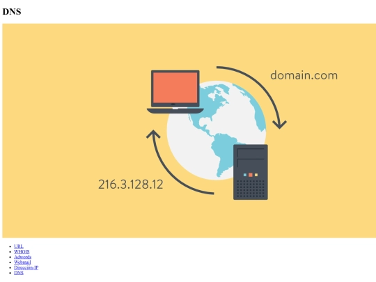 web-colectiva/DNS screenshot