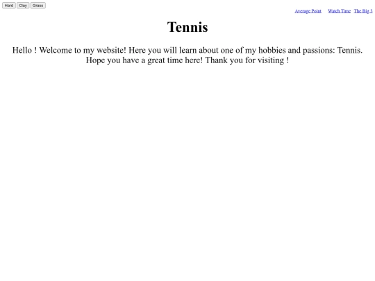 final/tennis screenshot