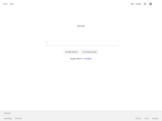 google screenshot