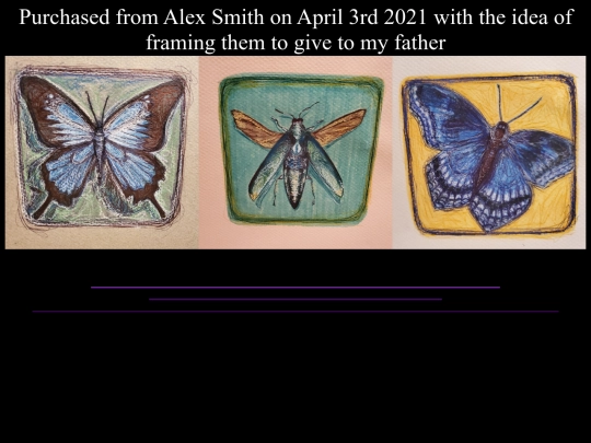 files/alex-three-insects screenshot