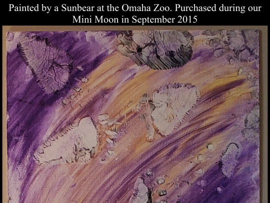 files/zoo-sunbear screenshot