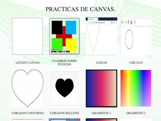 CANVAS screenshot