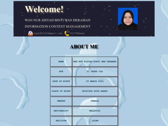 resume/about screenshot