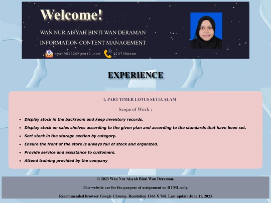 resume/experience screenshot
