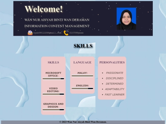 resume/skills screenshot
