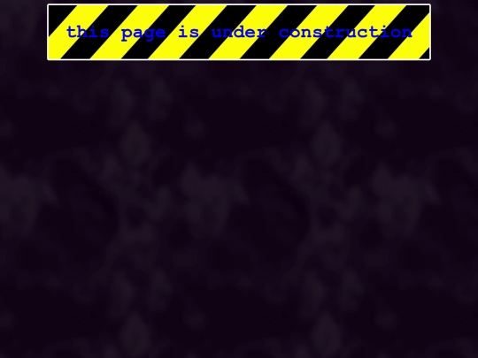 projects screenshot