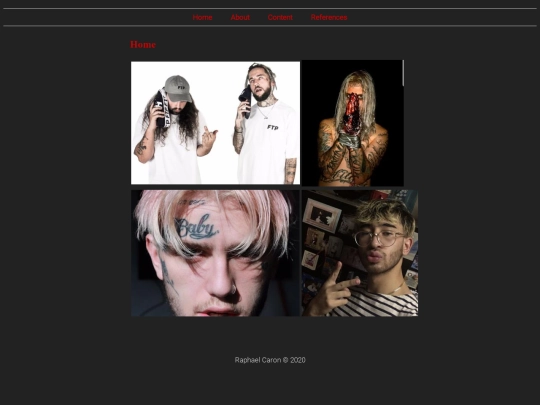 Project screenshot