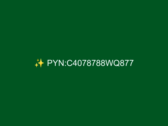 PYN screenshot