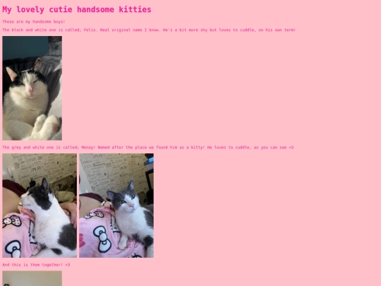 kitties screenshot