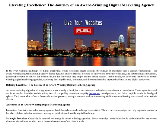 Bostonseo screenshot