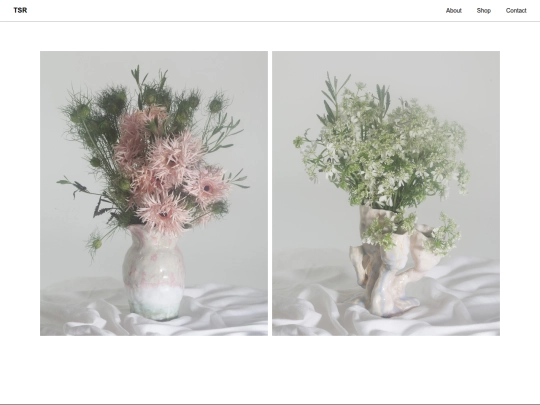 shop screenshot