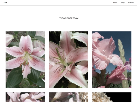 tsrarchive screenshot