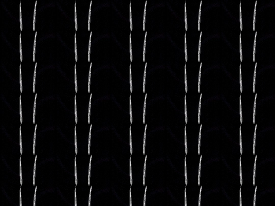 scrible screenshot