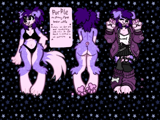 references/purple_puppy screenshot