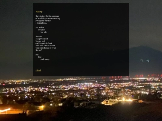 writing/waking screenshot