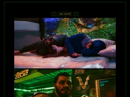 Photos/GalleryCyberpunk2077Page3 screenshot