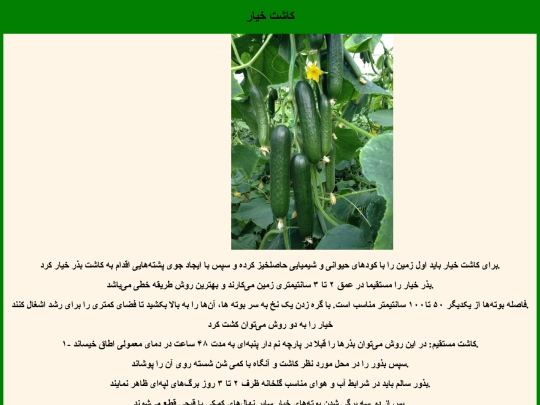 index5 screenshot