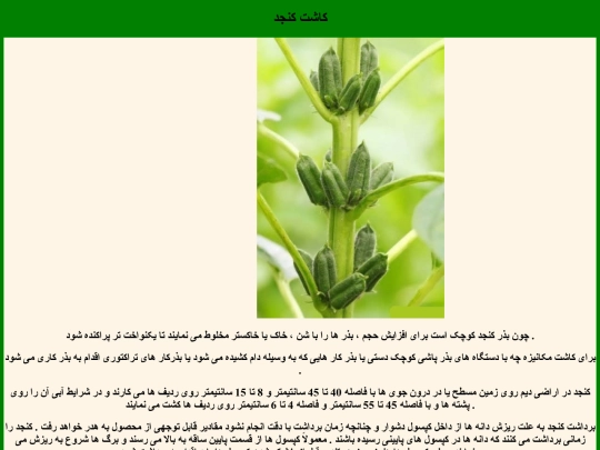 index7 screenshot