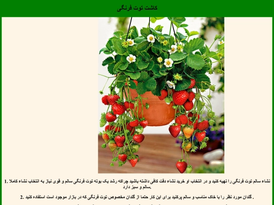 index8 screenshot