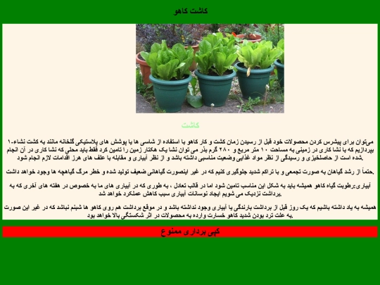 index9 screenshot