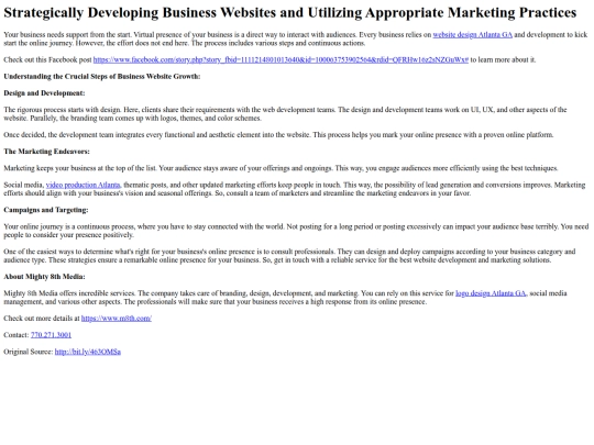 StrategicallyDevelopingBusinessWebsitesandUtilizingAppropriateMarketingPractices screenshot