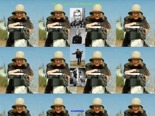 brautigan1 screenshot