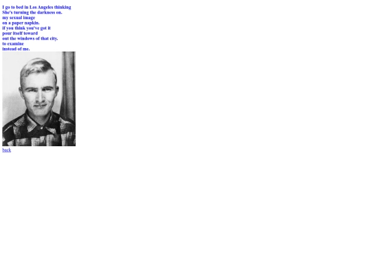 brautigan2 screenshot