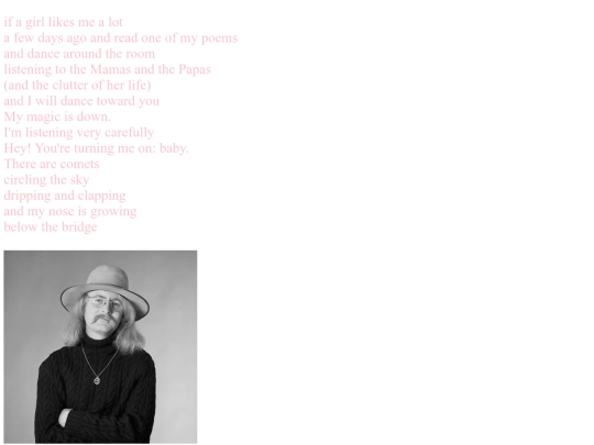 brautigan3 screenshot