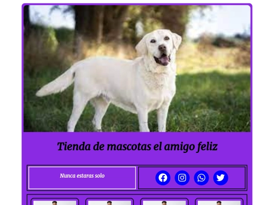 html/PracticaDiseño screenshot
