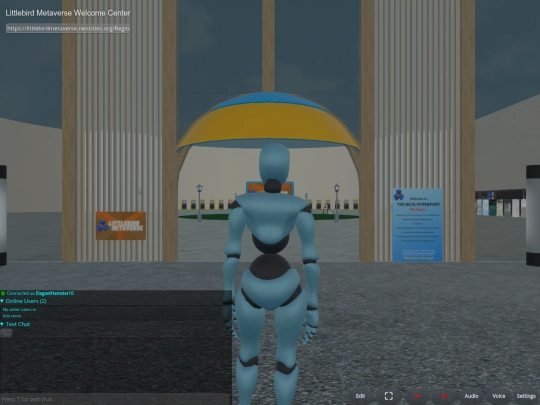 Regions/littlebird_metaverse screenshot