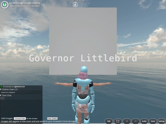 lib/gallery screenshot
