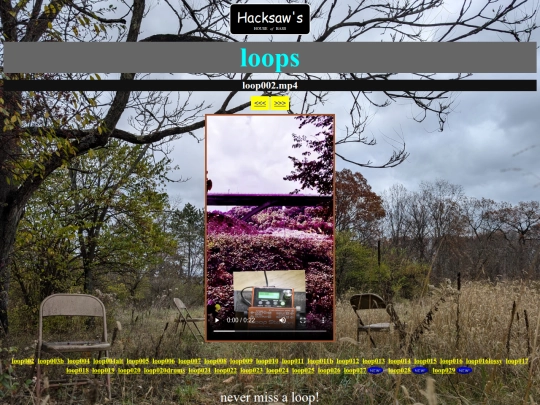 loops/loops screenshot