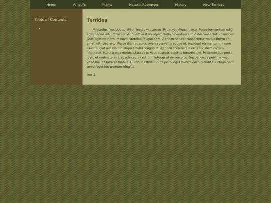 Terridea/New_Terridea screenshot