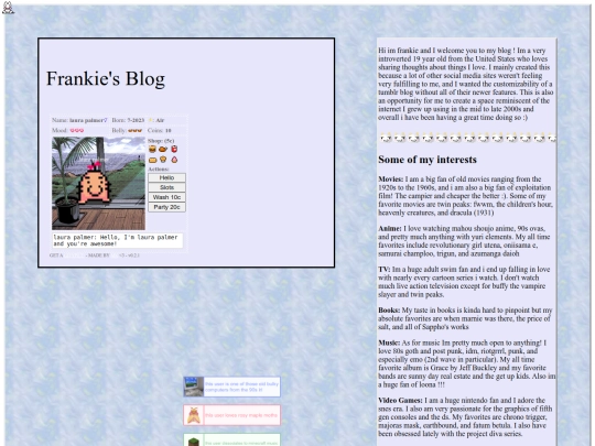 webmaster1 screenshot
