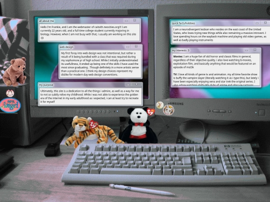 webmaster12 screenshot
