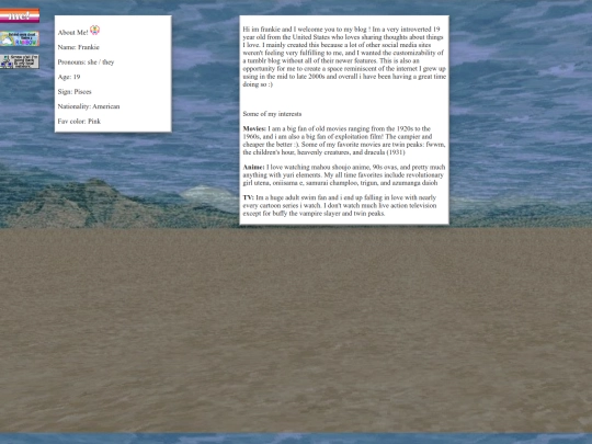 webmaster3 screenshot