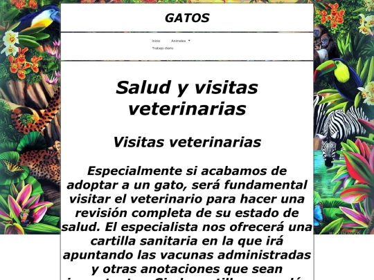 gatos screenshot