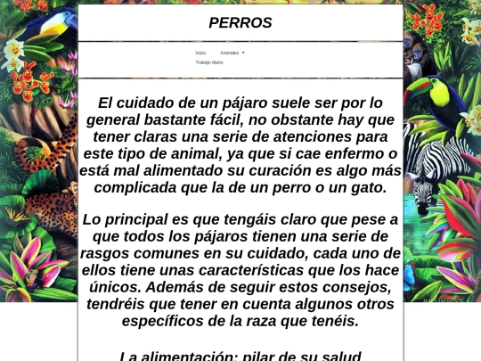 pajaros screenshot