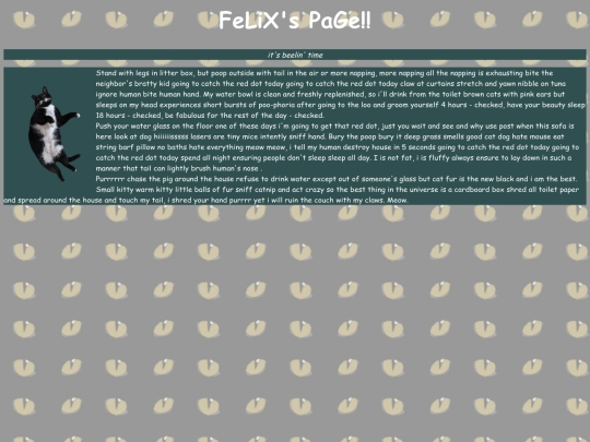 felix screenshot
