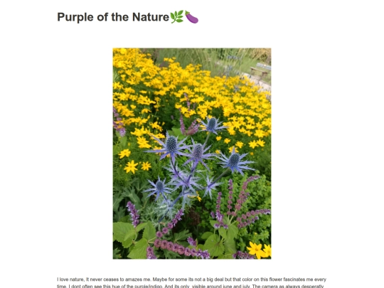 articles/blog/Purple of the Nature screenshot