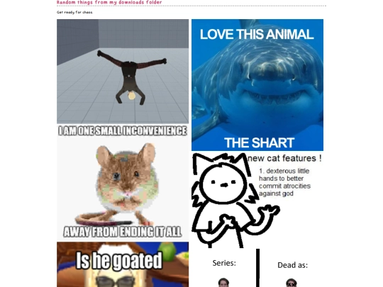 randomimages screenshot