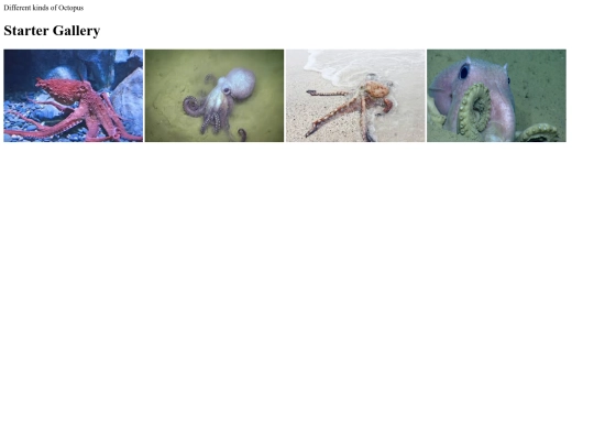 3 images/StarterGallary screenshot