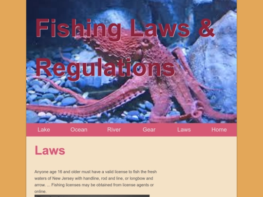 finall/Laws screenshot
