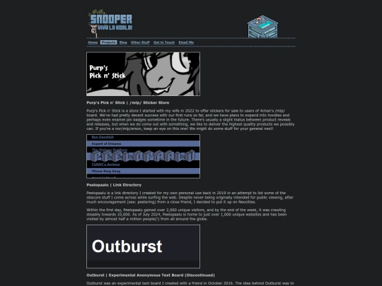 projects screenshot