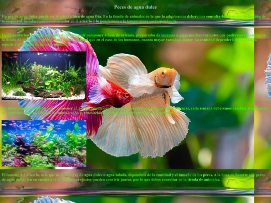 indexs/proyect html/Pecesdeaguadulce screenshot