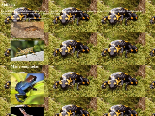 indexs/proyect html/lolo screenshot